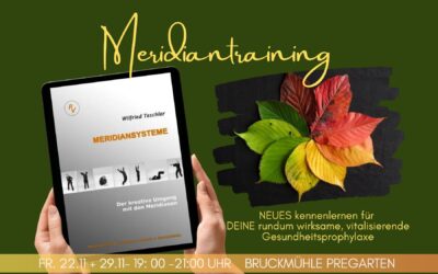 MERIDIANTRAINING – WORSHOP