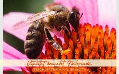 VITALITÄT BRAUCHT NÄHRENDES